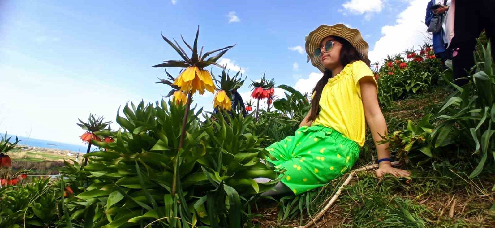 Zerrinkadeh çiçekleri ve terslaleler doğal fotoğraf stüdyosu oldu