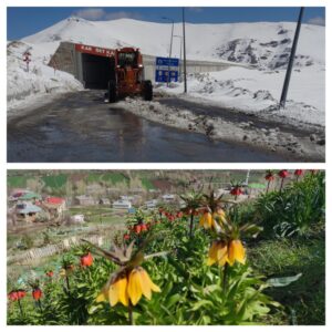 Van’ın aşağısı bahar yukarısı kış