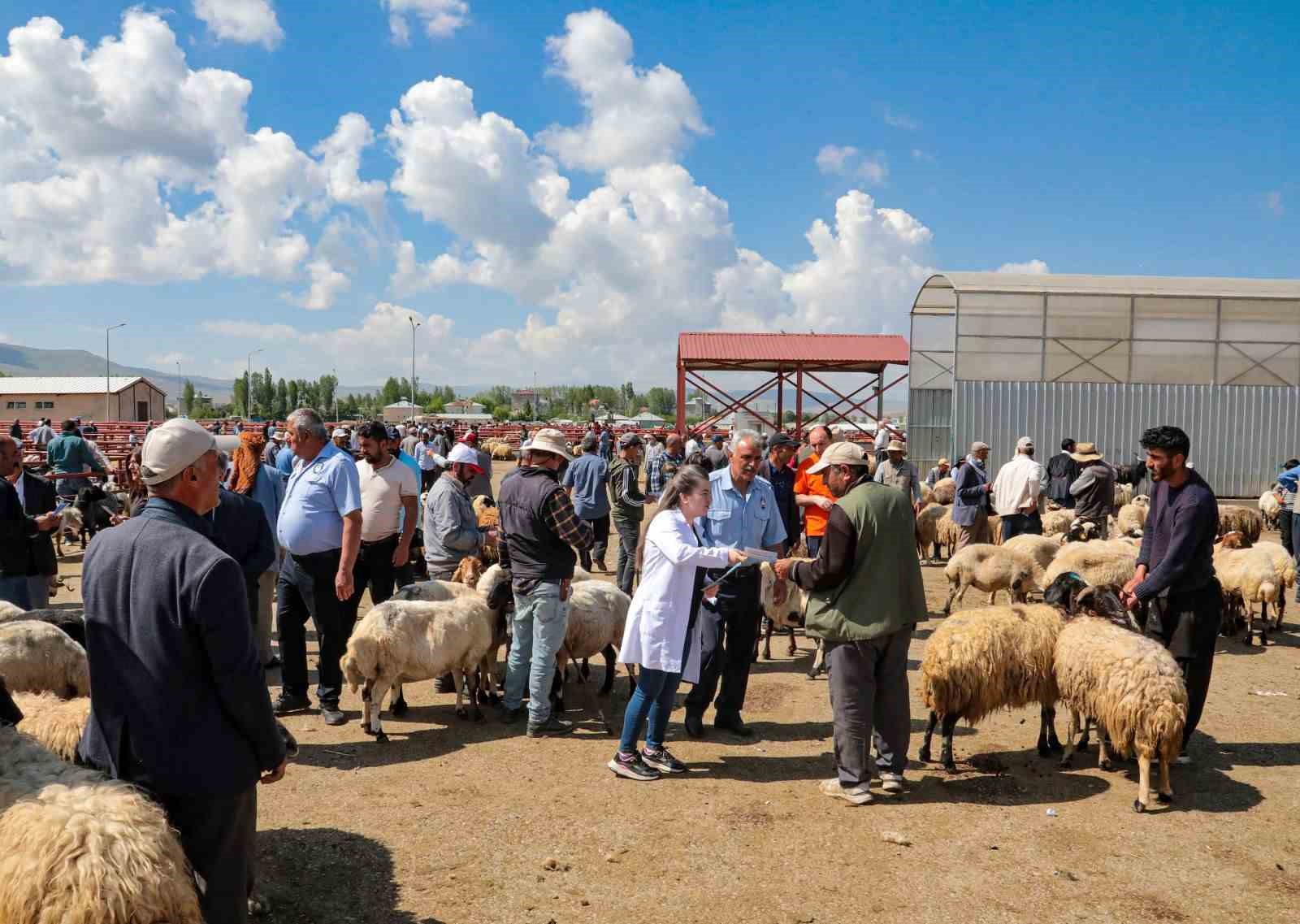 Van Büyükşehir Belediyesinden kurbanlıklar için bilgilendirme