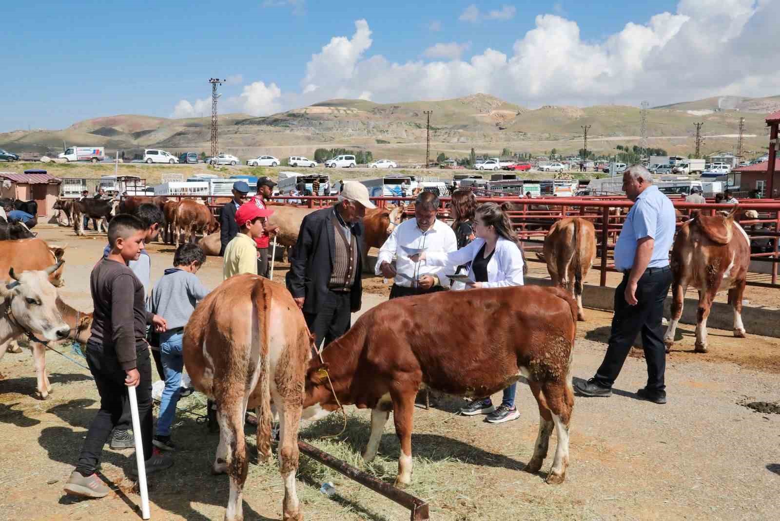 Van Büyükşehir Belediyesinden kurbanlıklar için bilgilendirme