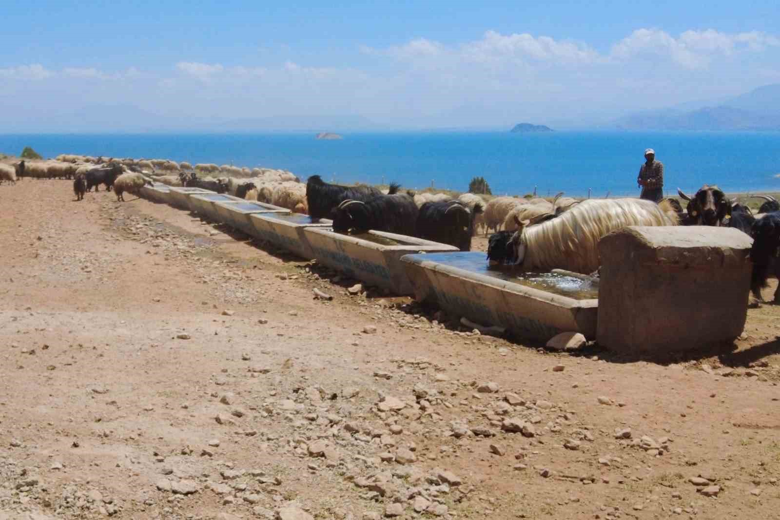 Van’da yaylaya güneş enerjisiyle su ulaştırıldı