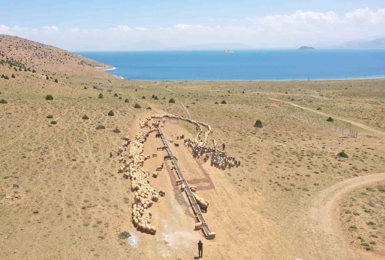 Van’da yaylaya güneş enerjisiyle su ulaştırıldı