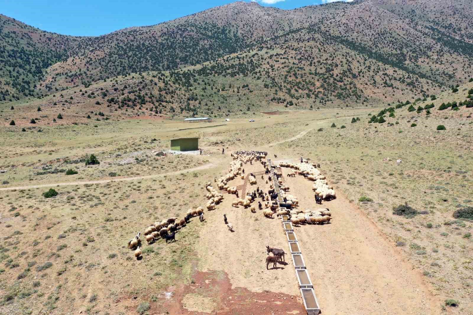 Van’da yaylaya güneş enerjisiyle su ulaştırıldı