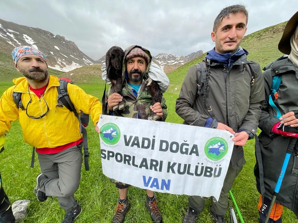 Doğaseverler 3 bin rakımlı Fatma Hatun Gölü yakınında buldukları kuzunun sahibini arıyor