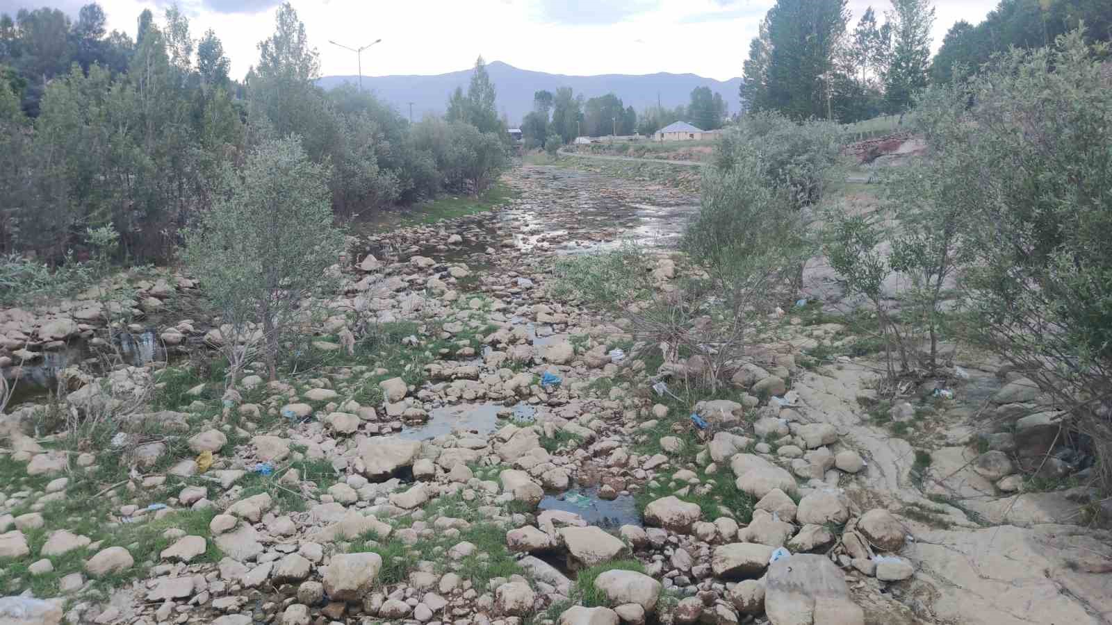 Bendimahi Çayı kurudu, yavru inci kefalleri mahsur kaldı