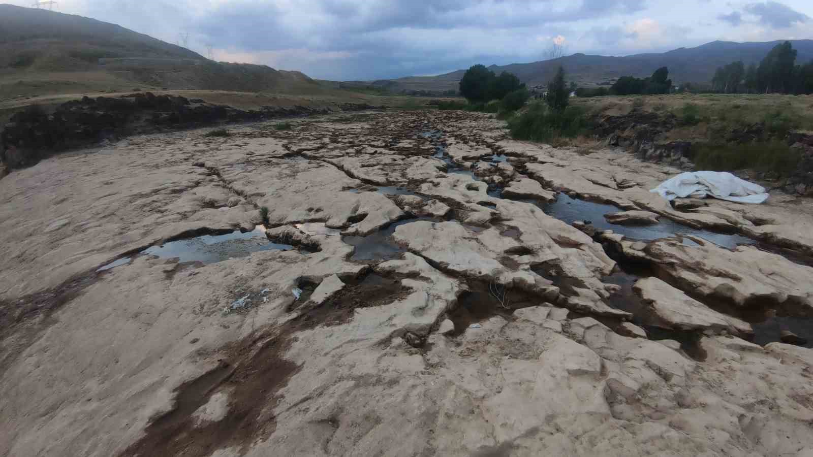 Bendimahi Çayı kurudu, yavru inci kefalleri mahsur kaldı