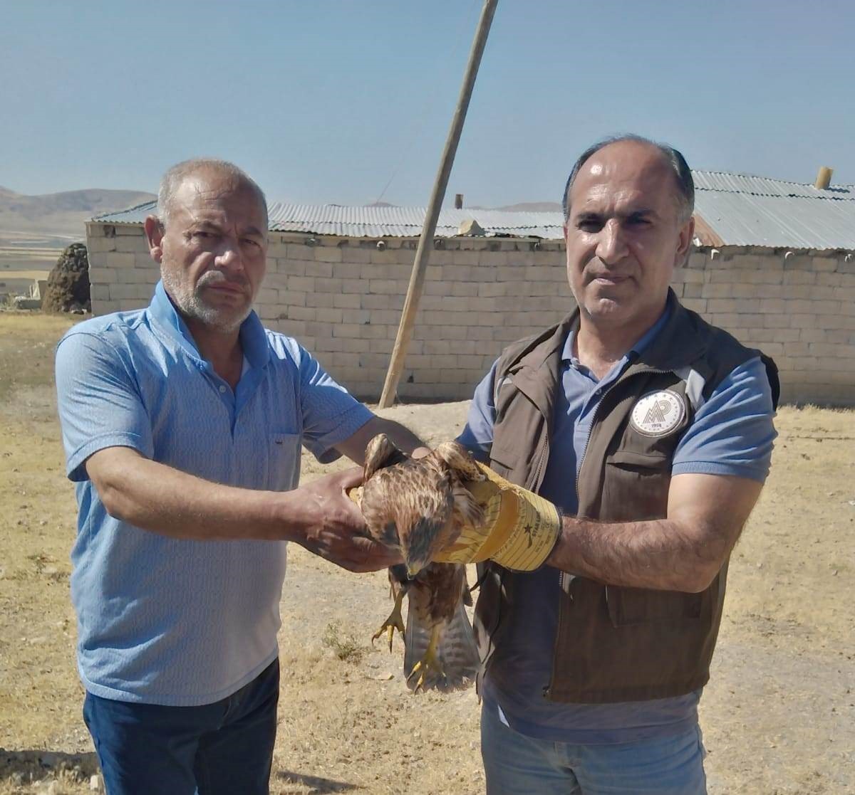 Van’da yaralı kuşlar tedavi altına alındı