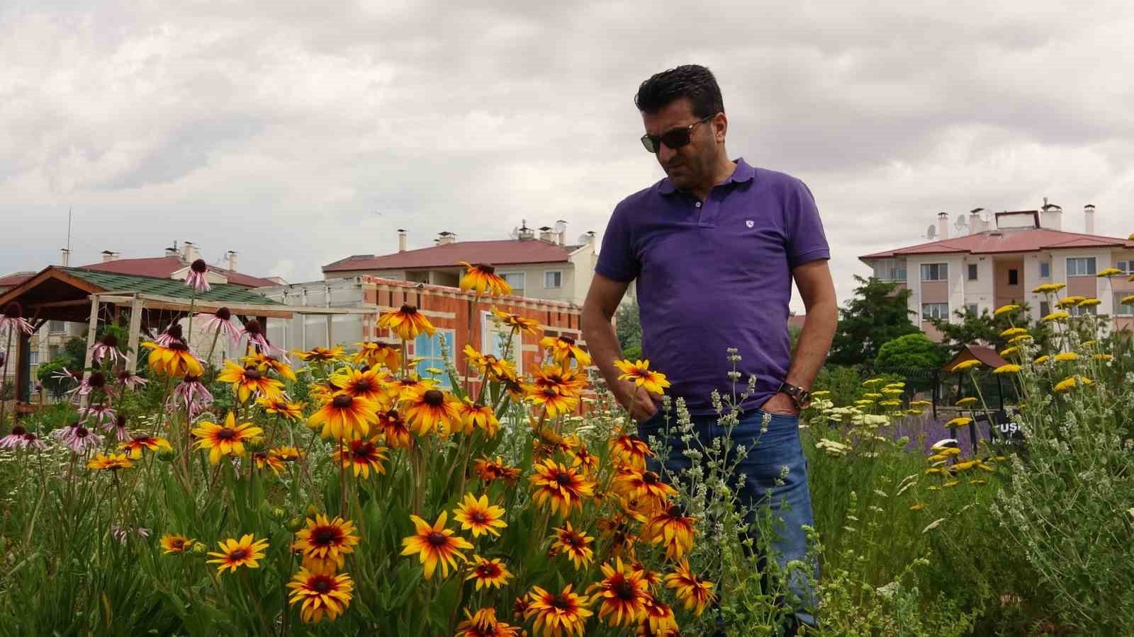 Renk cümbüşü tıbbi bitkiler doğal fotoğraf stüdyosu oluyor