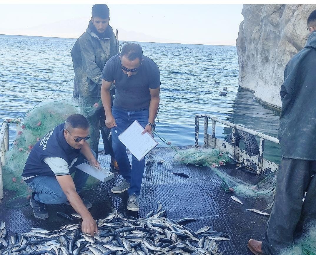 Van’daki balıkçı barınaklarında inci kefali denetimi