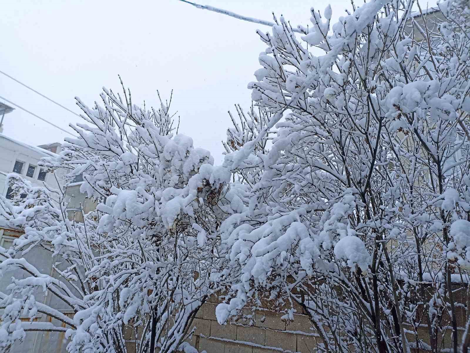 Erciş’te kar yağışı etkili oldu