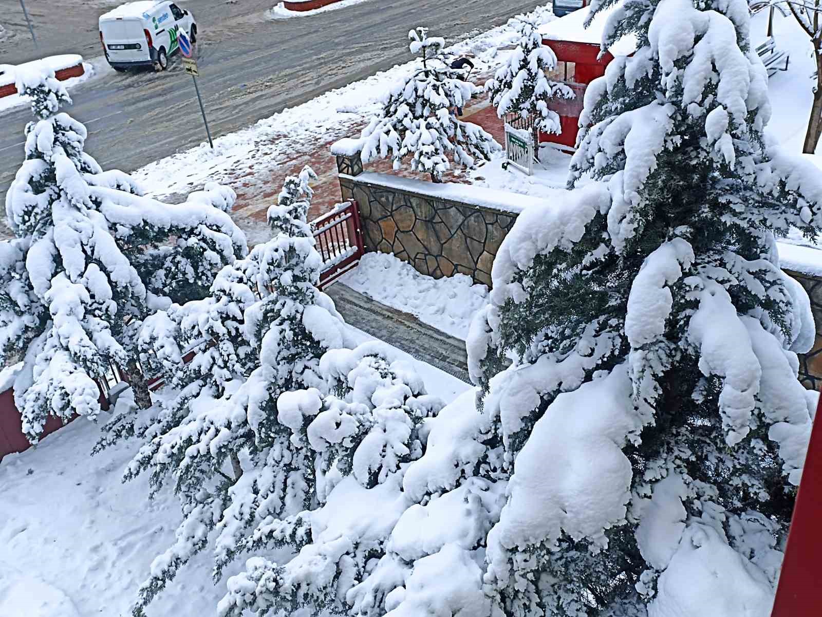 Erciş’te kar yağışı etkili oldu