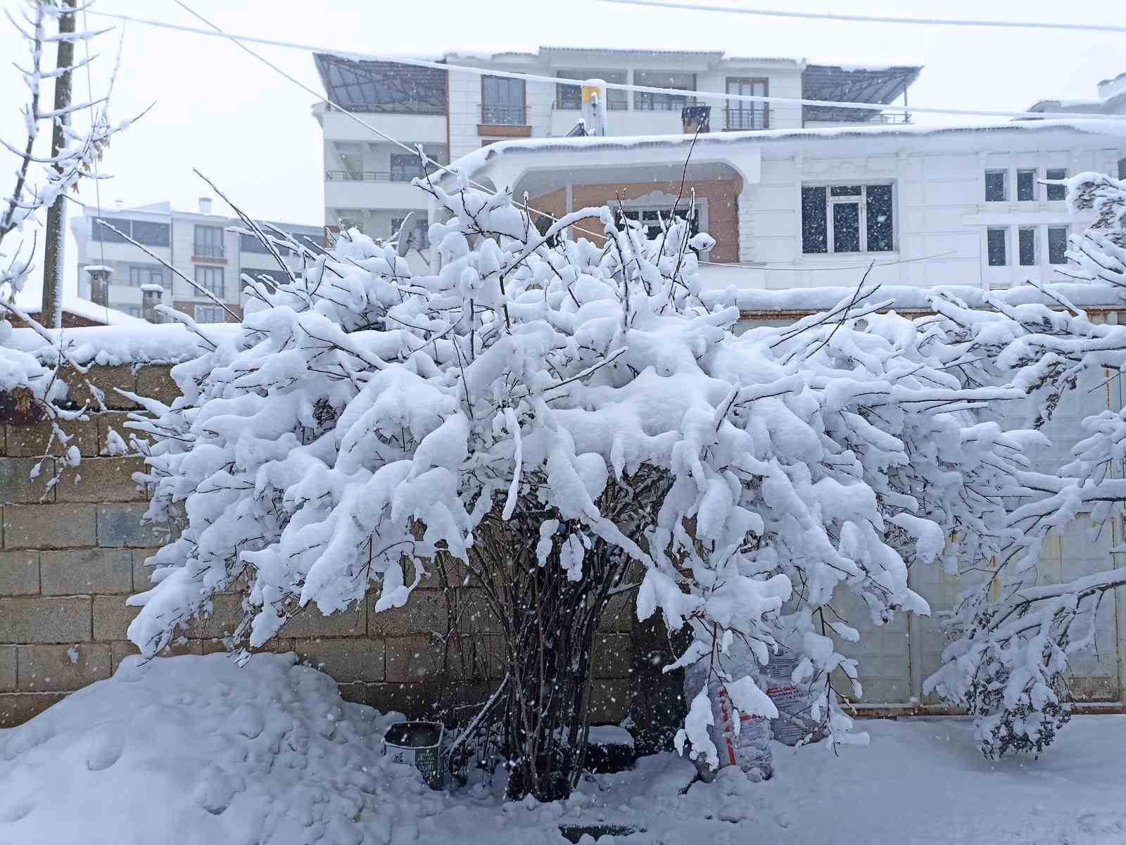 Erciş’te kar yağışı etkili oldu