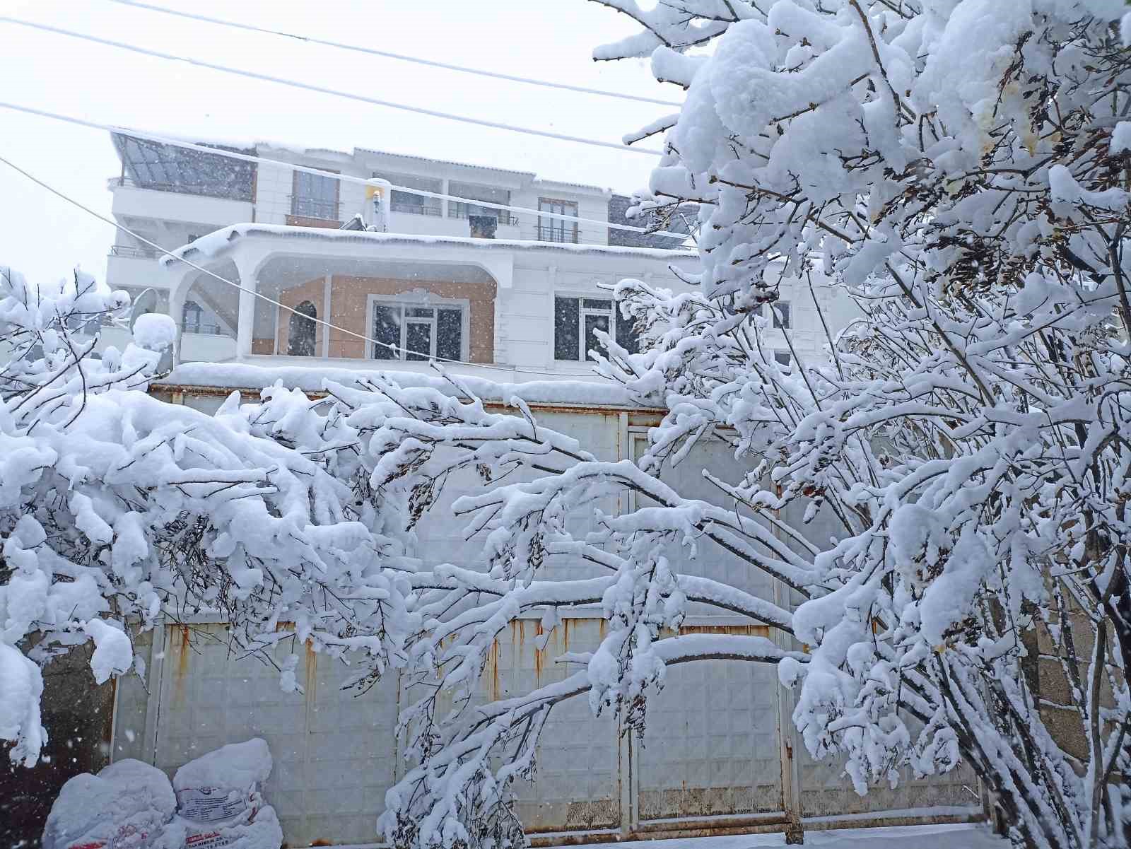 Erciş’te kar yağışı etkili oldu