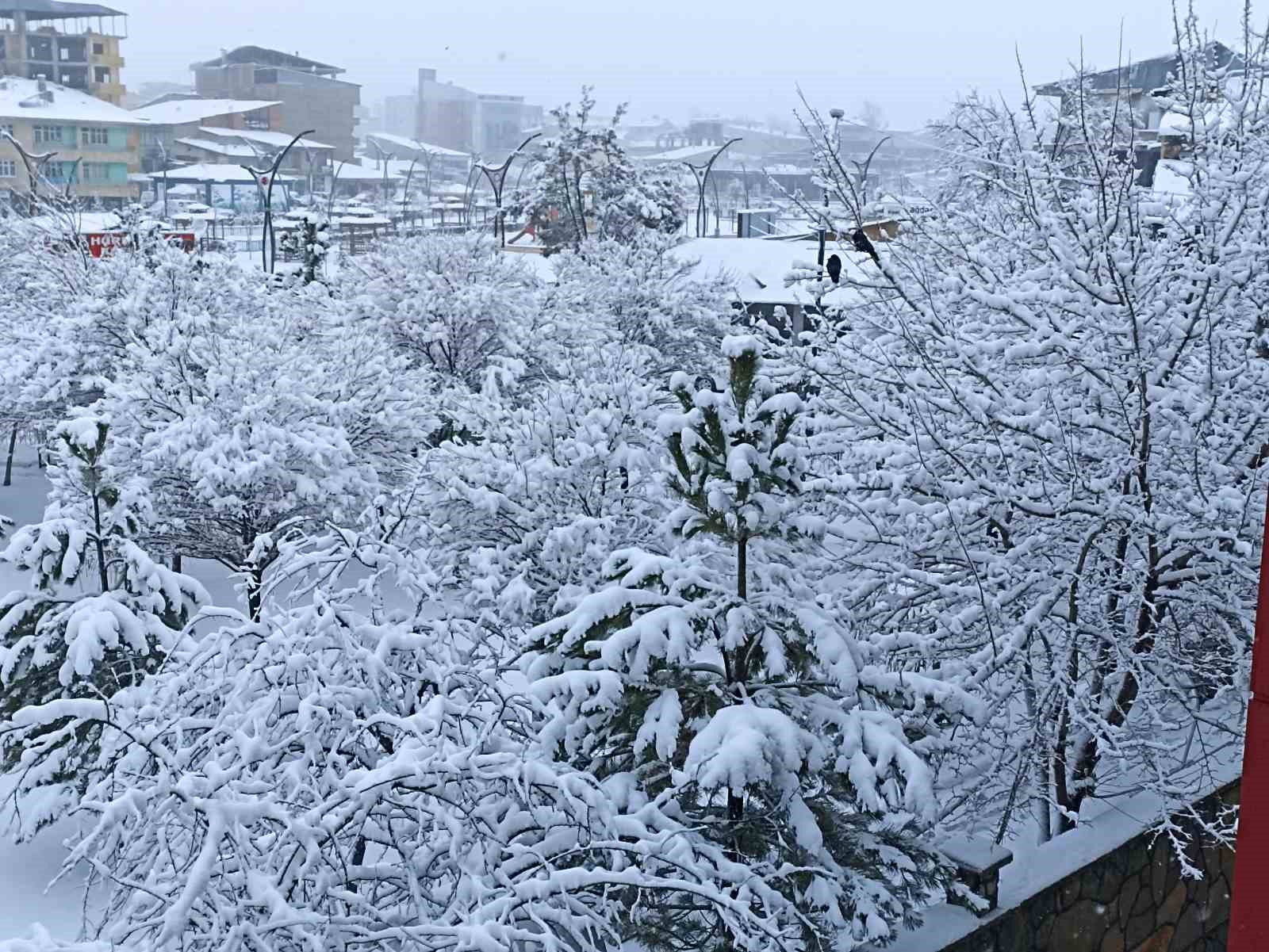 Erciş’te kar yağışı etkili oldu