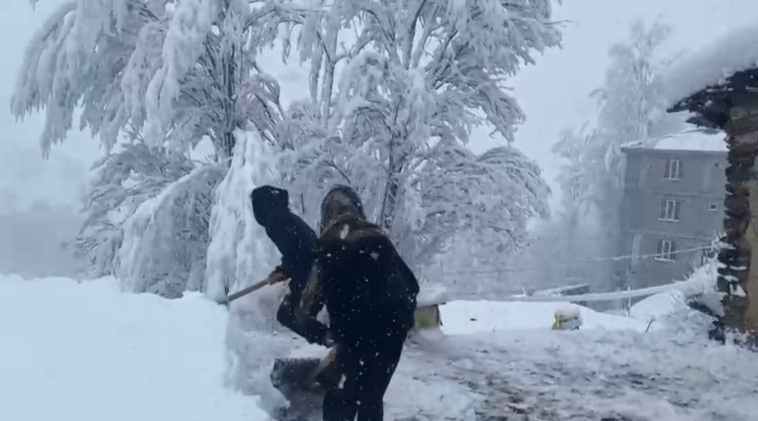 Bahçesaray’da kar etkili oluyor