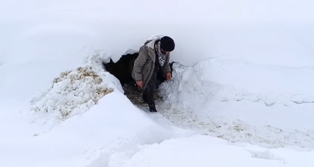 Bahçesaray’da kar etkili oluyor