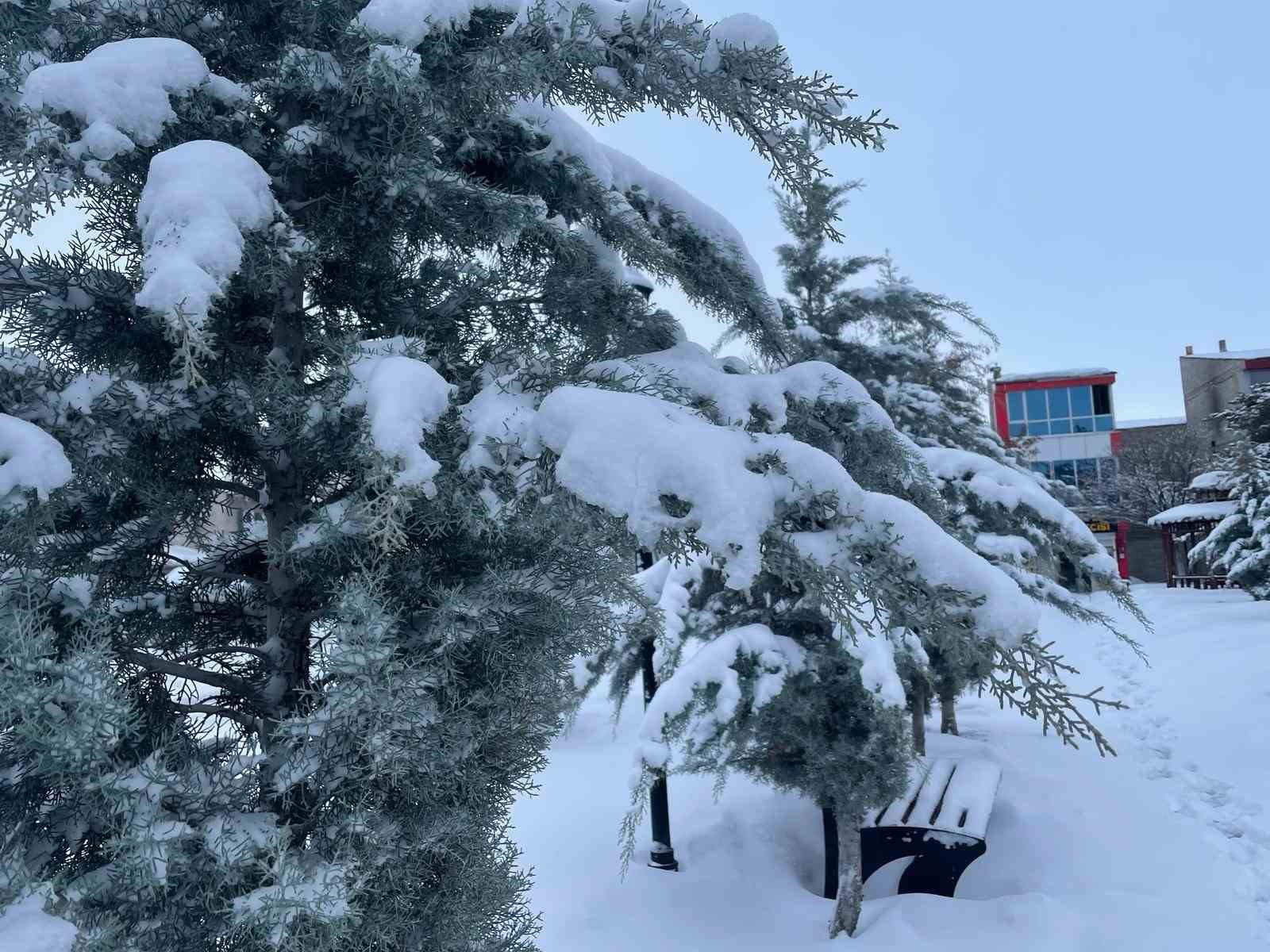 Muradiye’de kar yağışı