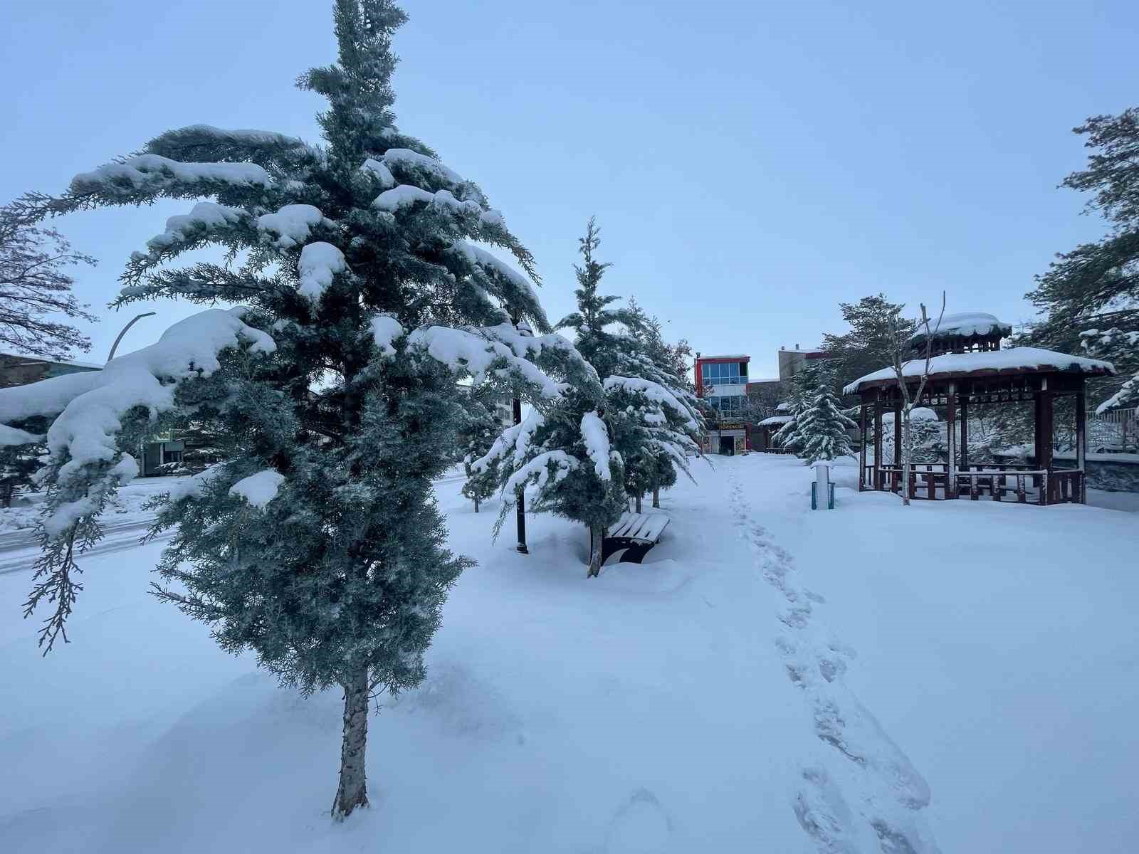 Muradiye’de kar yağışı