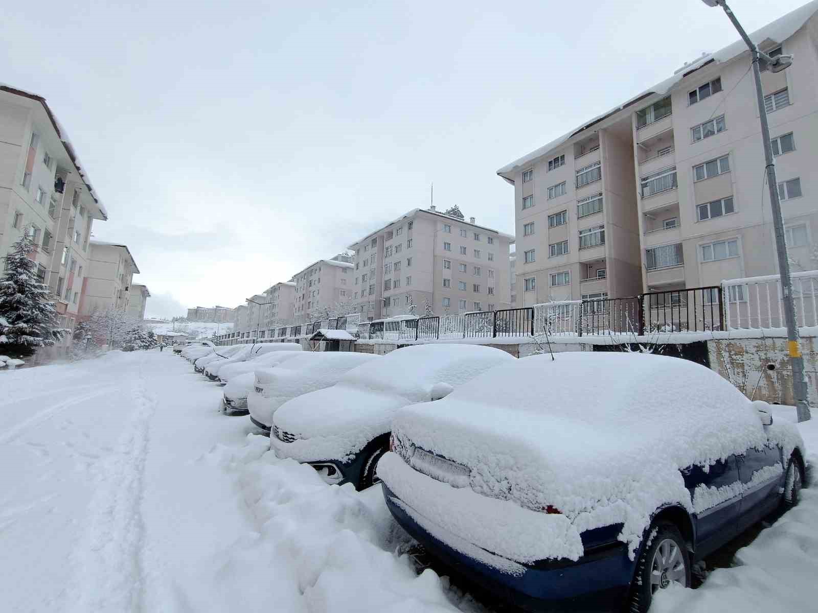 Van güne kar yağışıyla uyandı