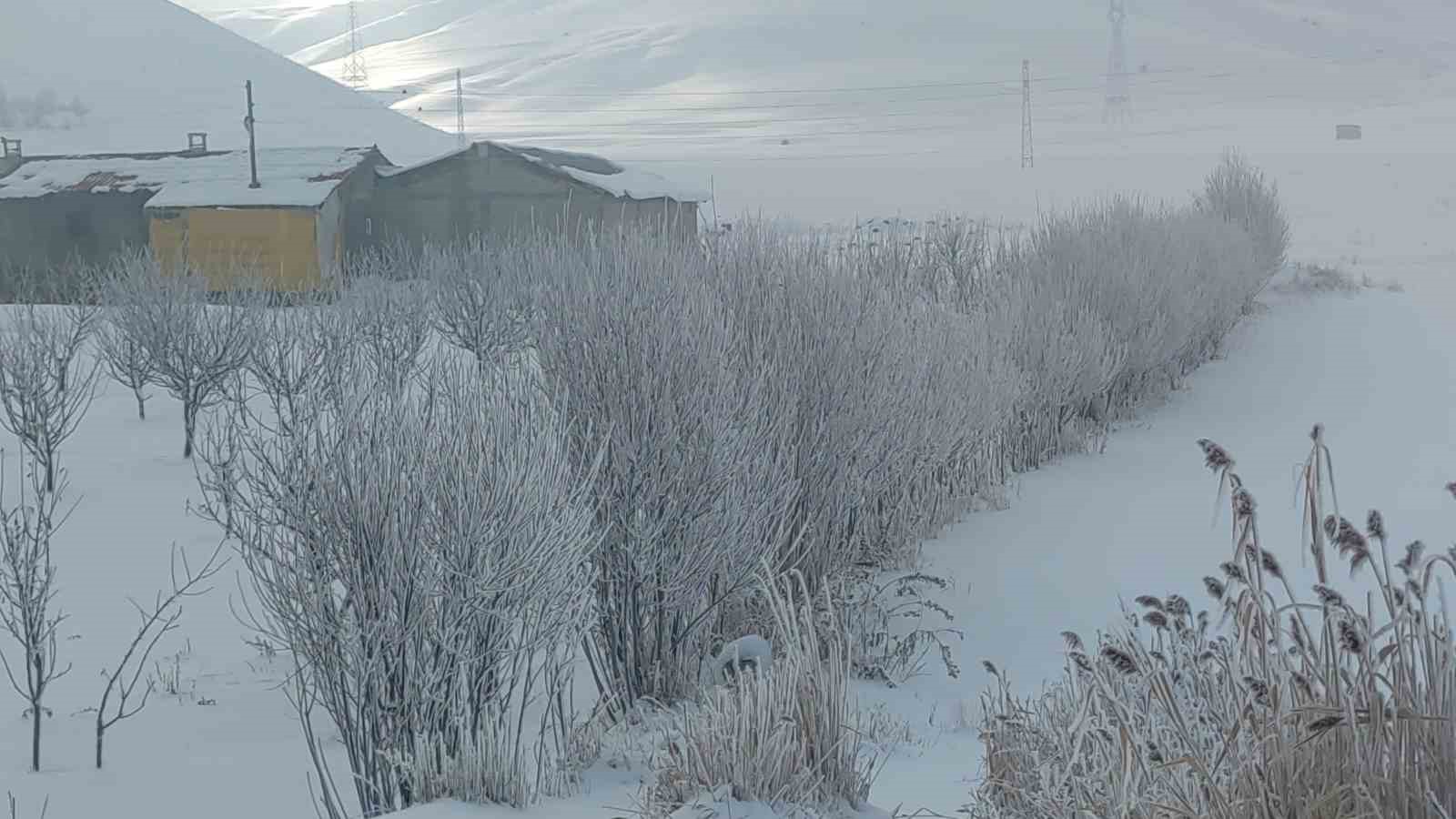 Van’da ağaçlar kırağı tuttu