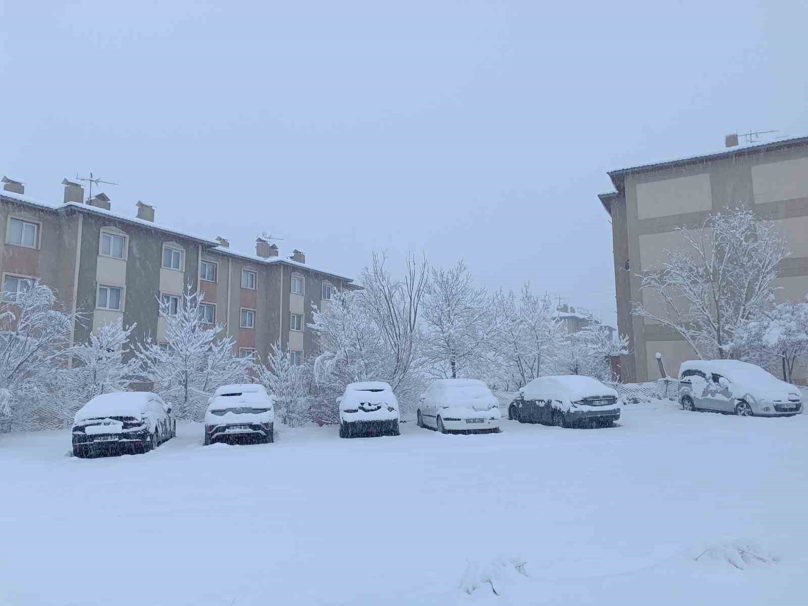 Van’da karla gelen güzellik