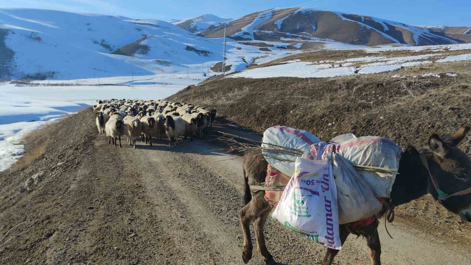 Van’da besicilerin zorlu kış mesaisi devam ediyor