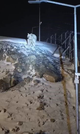 Tendürek Geçidi’nde ulaşıma kar engeli