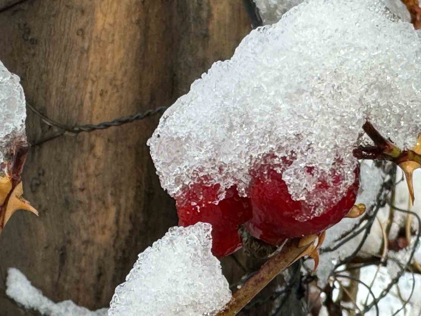 Başkale’de bayram günü kar sürprizi