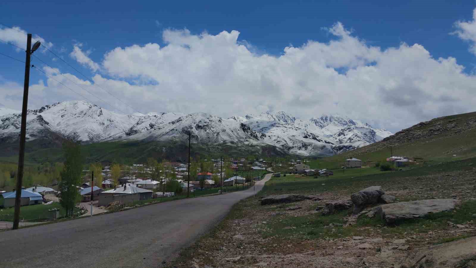 Van’ın dağlarında kış, ovalarında bahar güzelliği yaşanıyor