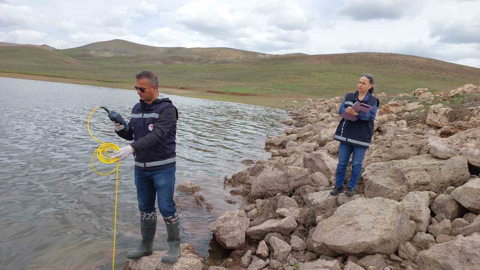 Van’da yaşanan balık ölümlerinin nedeni araştırılıyor