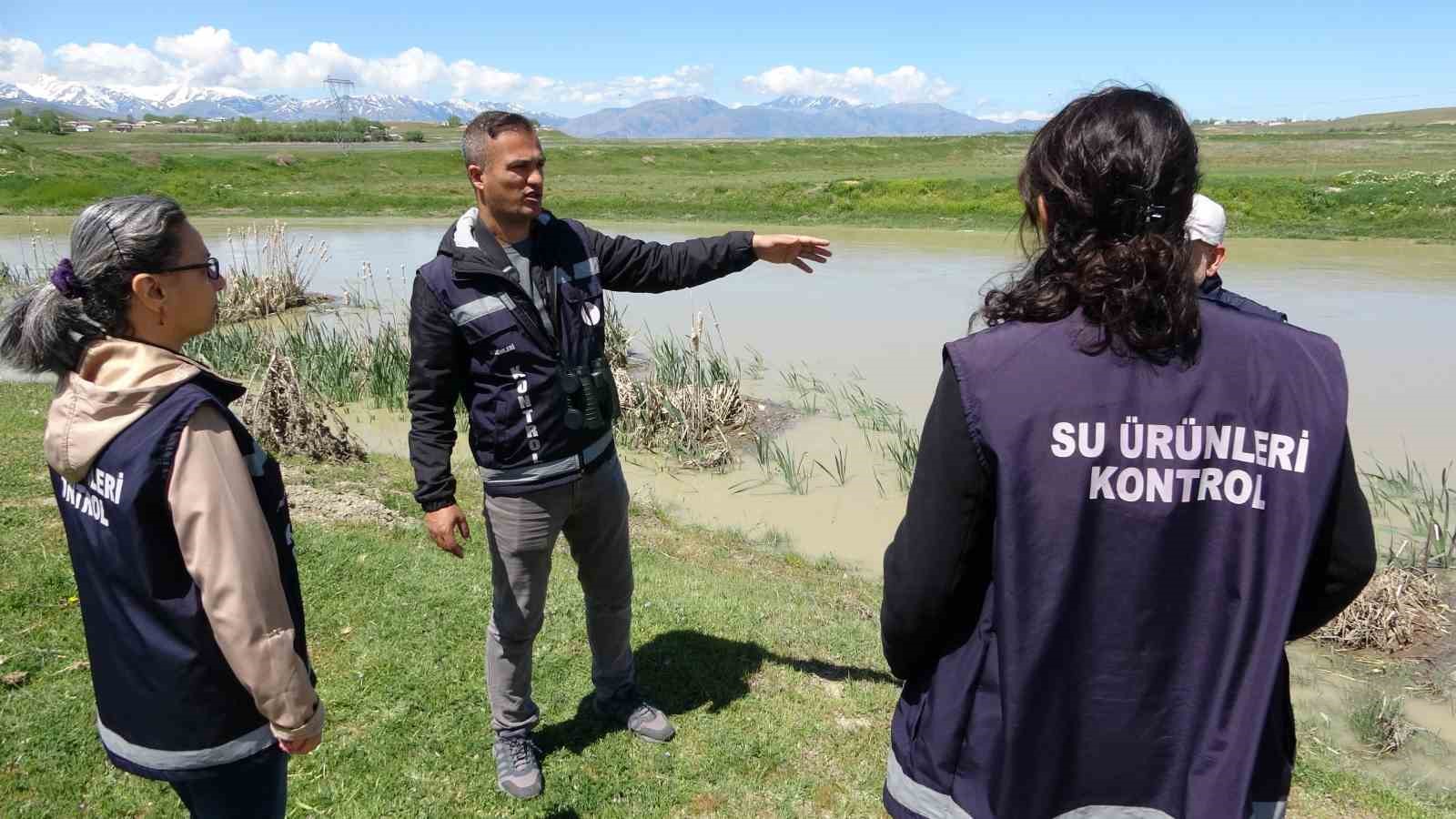 İnci kefali yoğun denetimlerle korunuyor