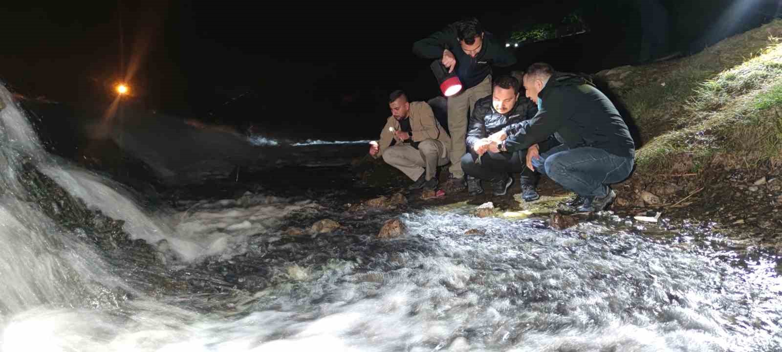 Van’da jandarma ekiplerin gece inci kefali nöbeti