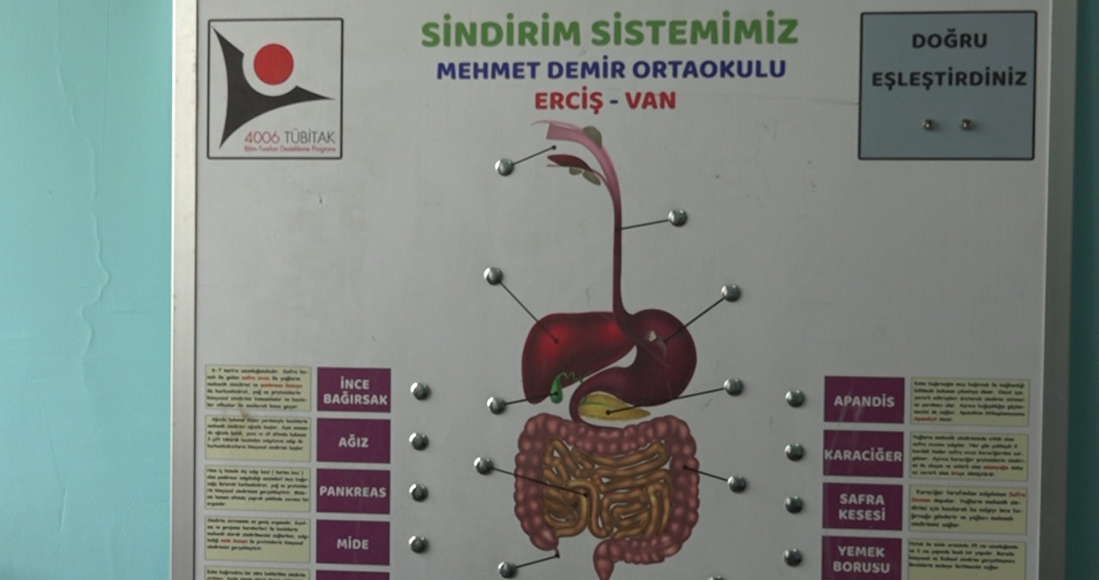 Erciş’te fen bilgisi öğretmeni materyal tasarım yarışmasında dereceye girdi