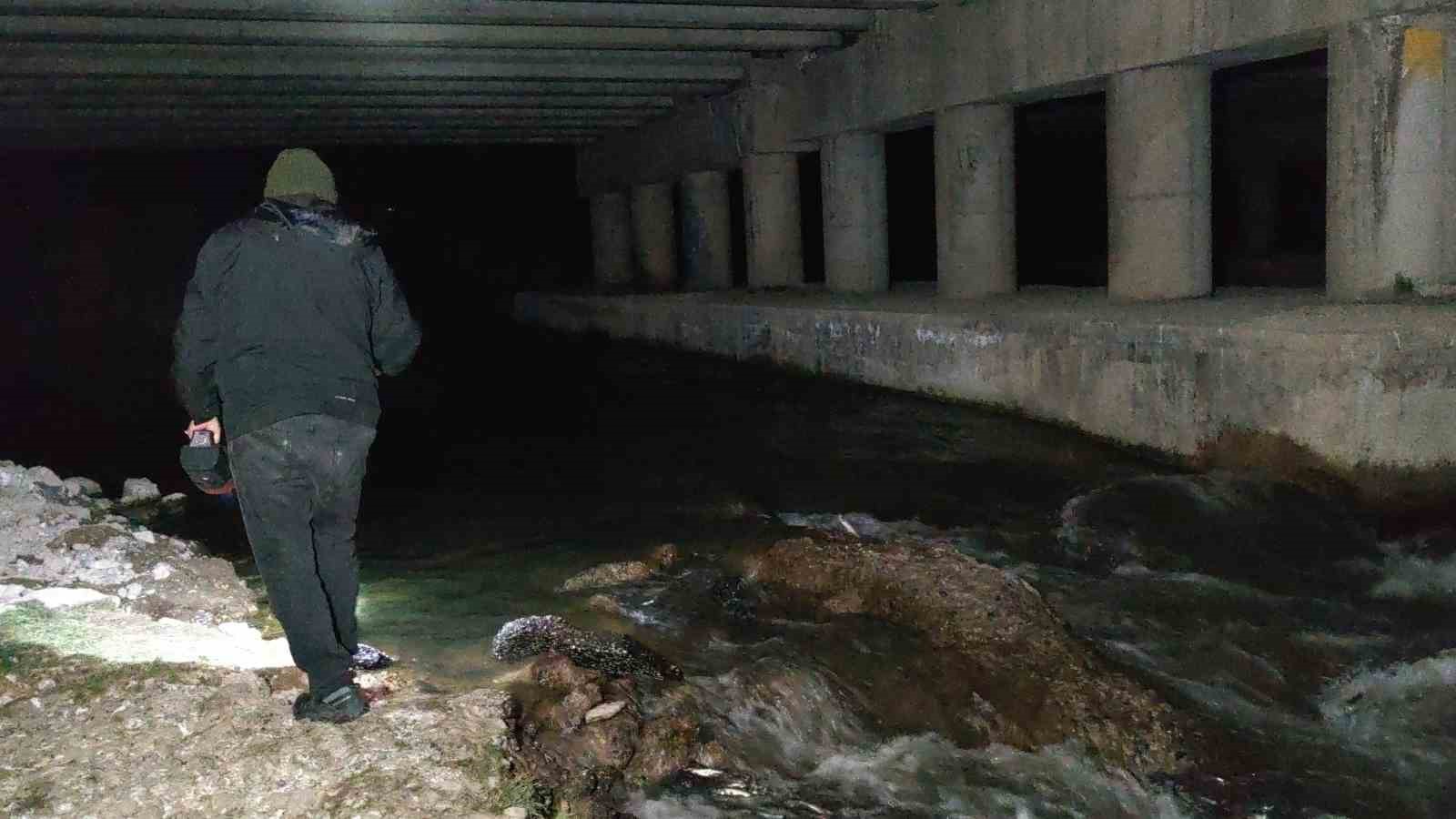 İnci kefalinin muhteşem gece yolculuğu başladı