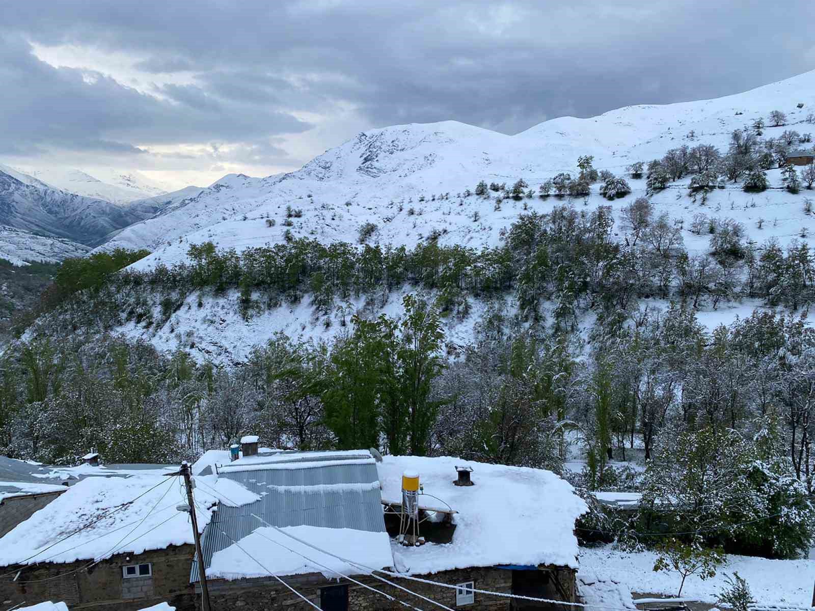 Van’a mayıs ayında lapa lapa kar yağdı