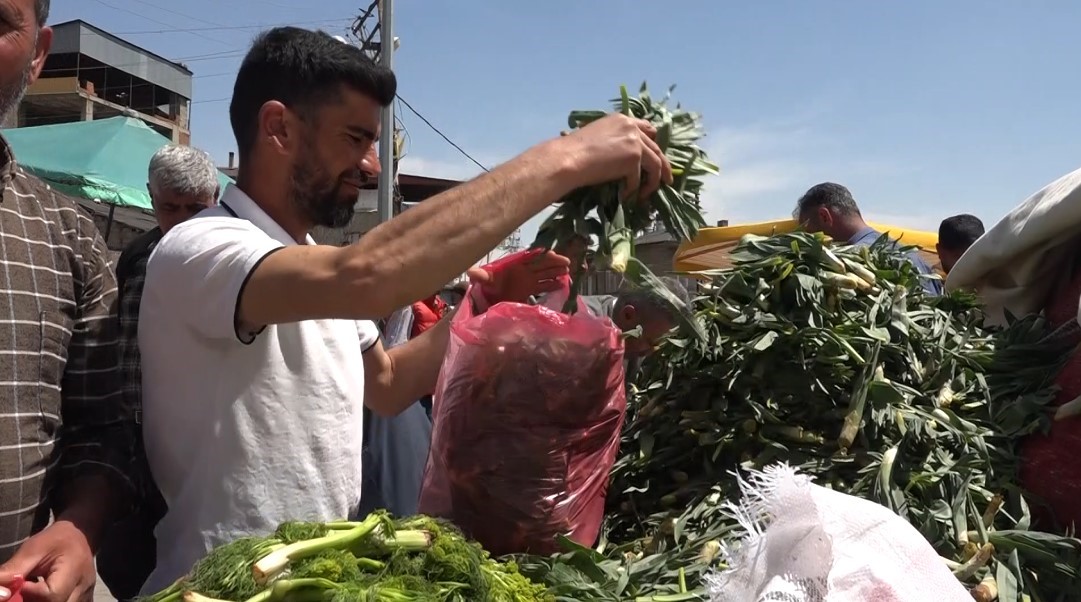 Erciş’te çiriş otu tezgahlardaki yerini aldı