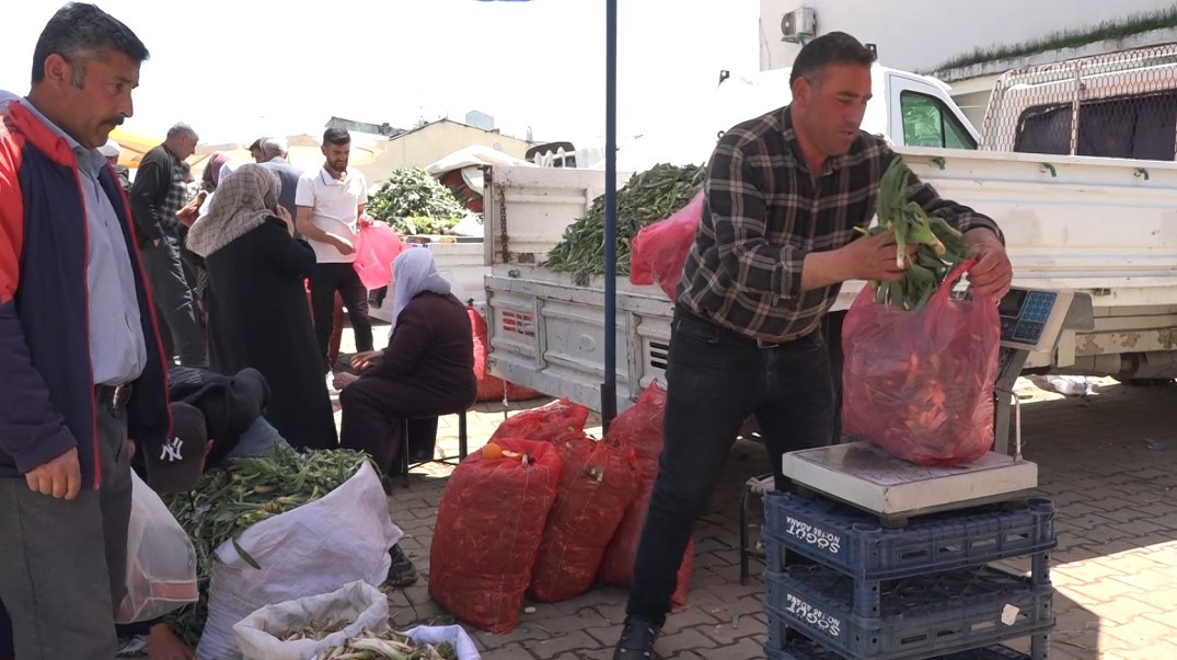 Erciş’te çiriş otu tezgahlardaki yerini aldı