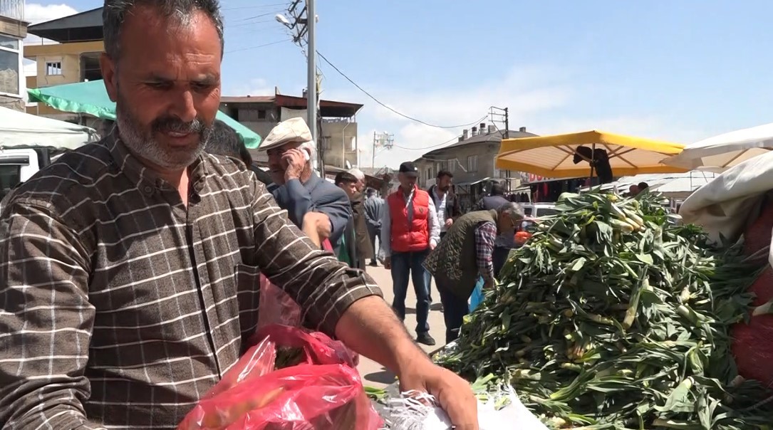 Erciş’te çiriş otu tezgahlardaki yerini aldı