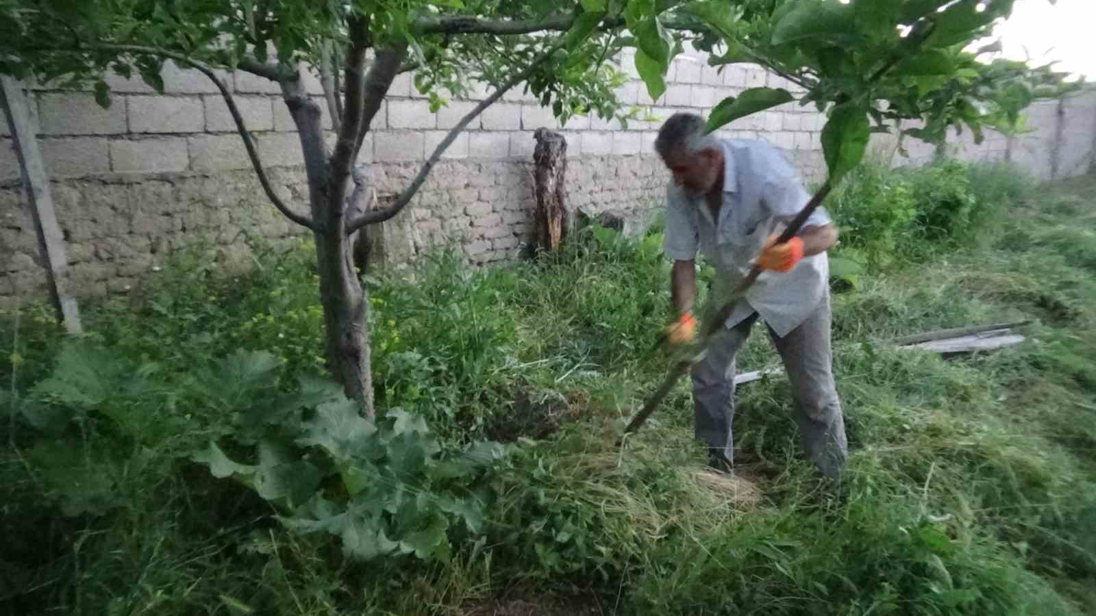 Van’da yoğun bir şekilde görülen salyangozlar vatandaşı tedirgin ediyor