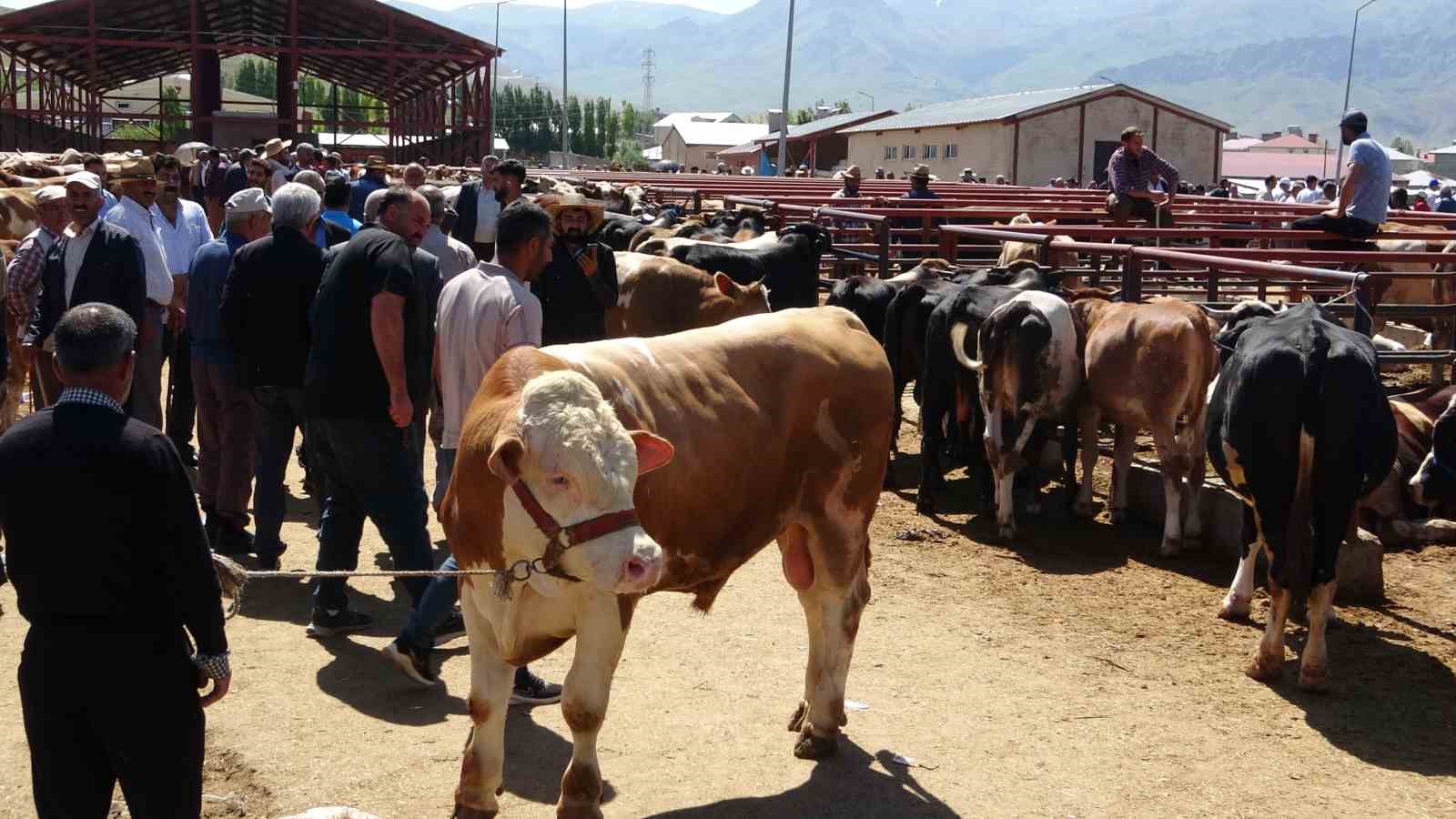 Van’da kurban pazarlarında sıkı pazarlıklar başladı