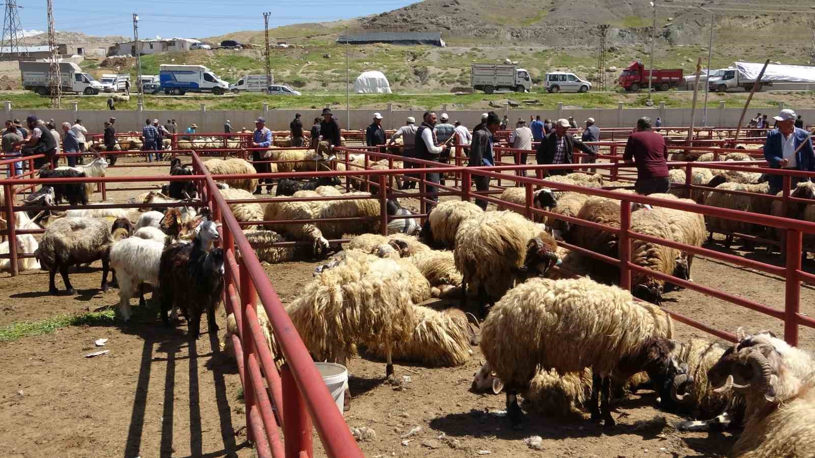 Van’da kurban pazarlarında sıkı pazarlıklar başladı