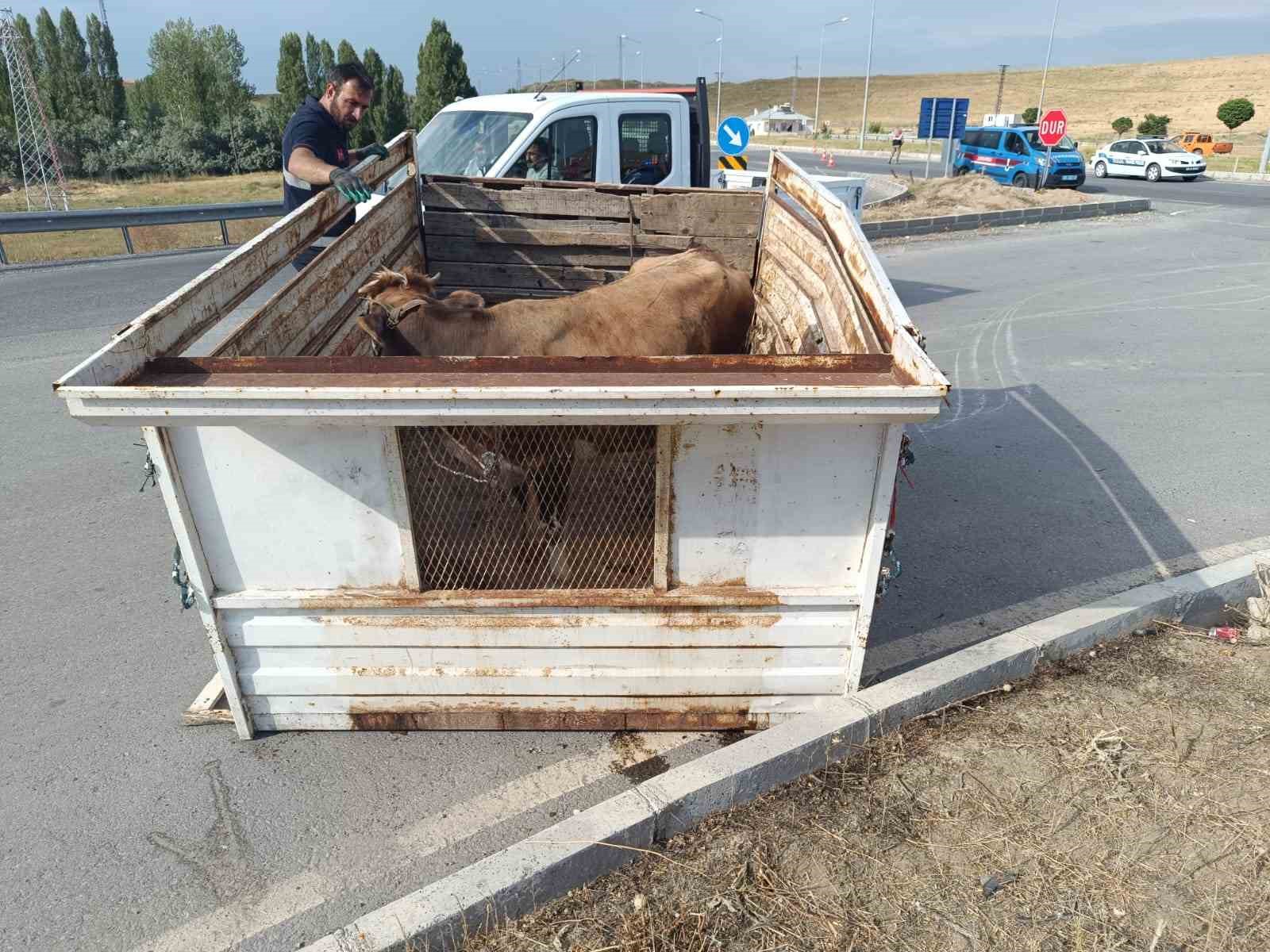 Van’da trafik kazası: 6 yaralı