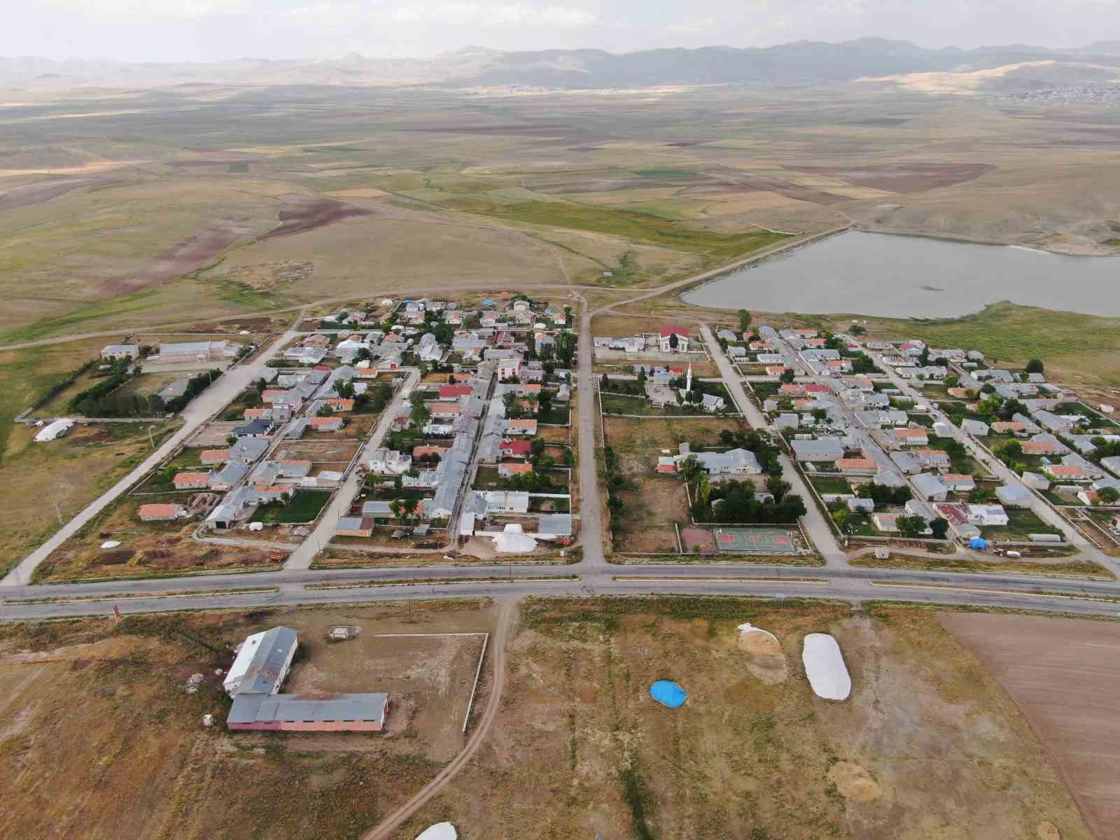 Yavru leylekler uçmaya hazırlanıyor