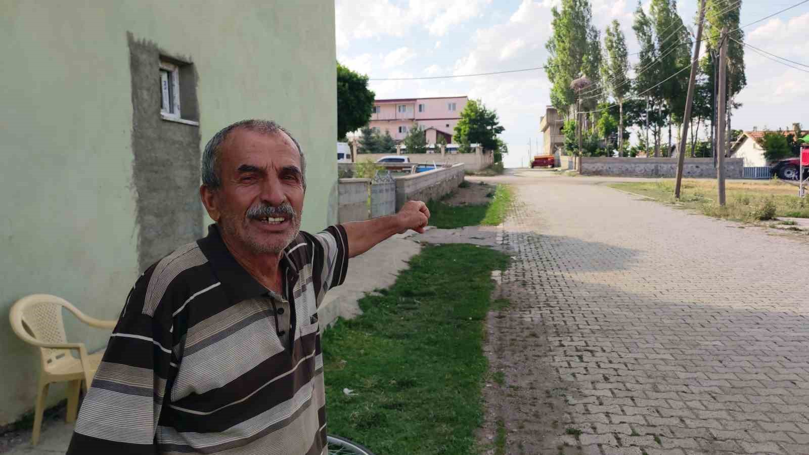 Yavru leylekler uçmaya hazırlanıyor