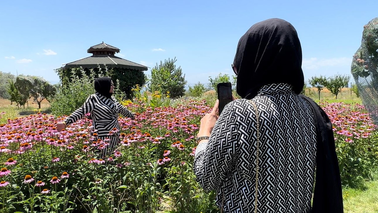 Van’da tıbbi bitkiler, doğal fotoğraf stüdyosuna döndü