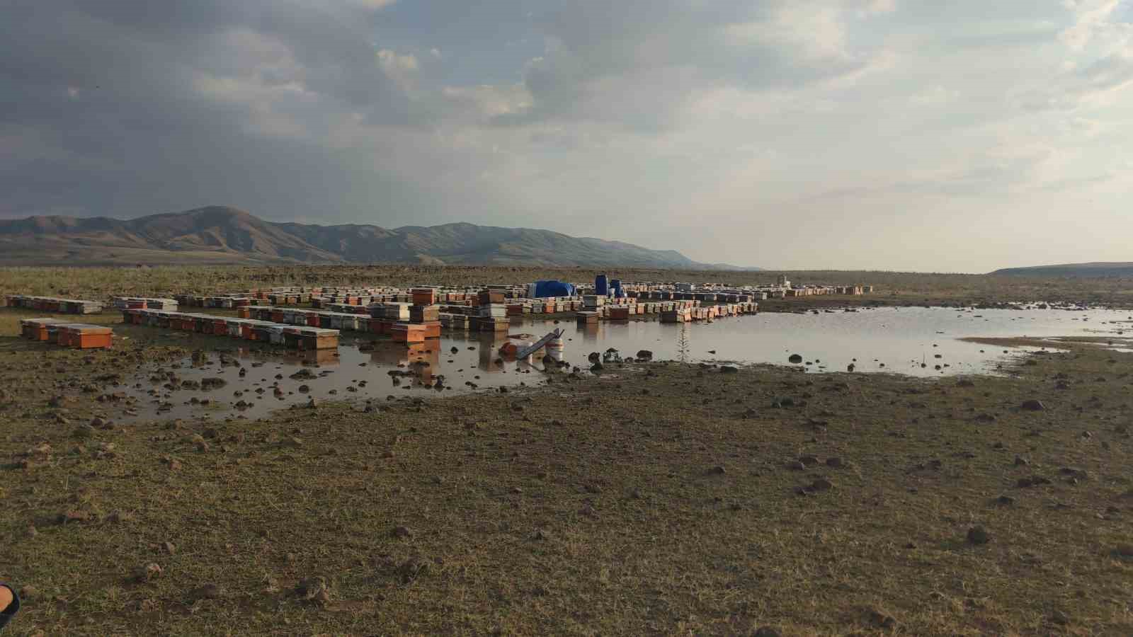 Van’da sağanak yağmur arı kovanlarını vurdu