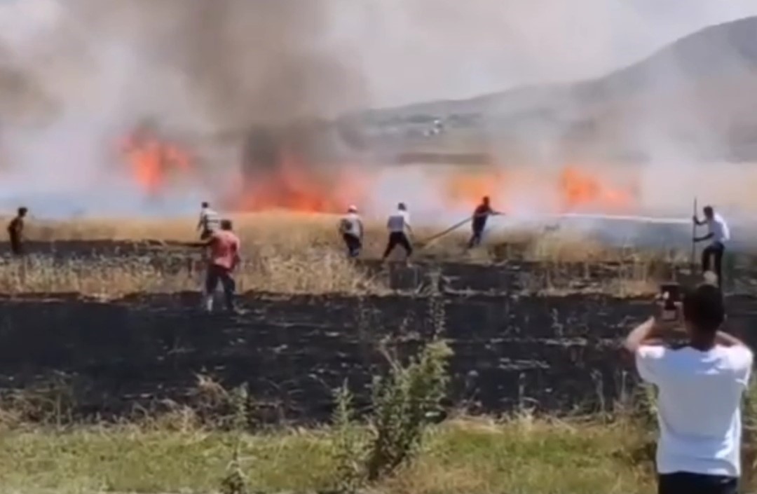 Van’da tarım arazisinde yangın