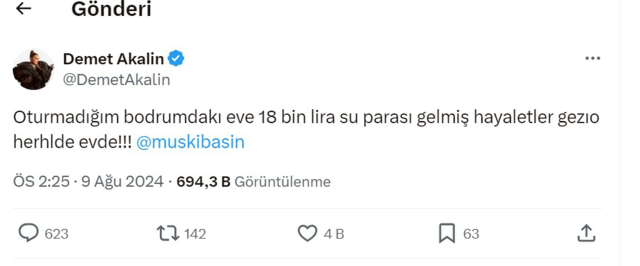 Şirketin açıklaması çok net! Demet Akalın, lüks villasına gelen su faturasıyla neye uğradığını şaşırdı