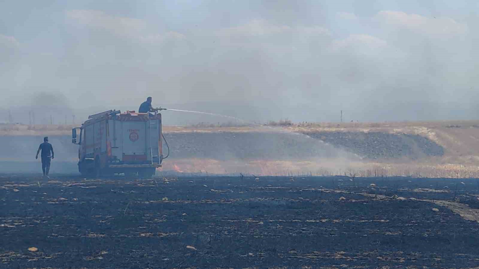 Van’da anız yangını korkuttu