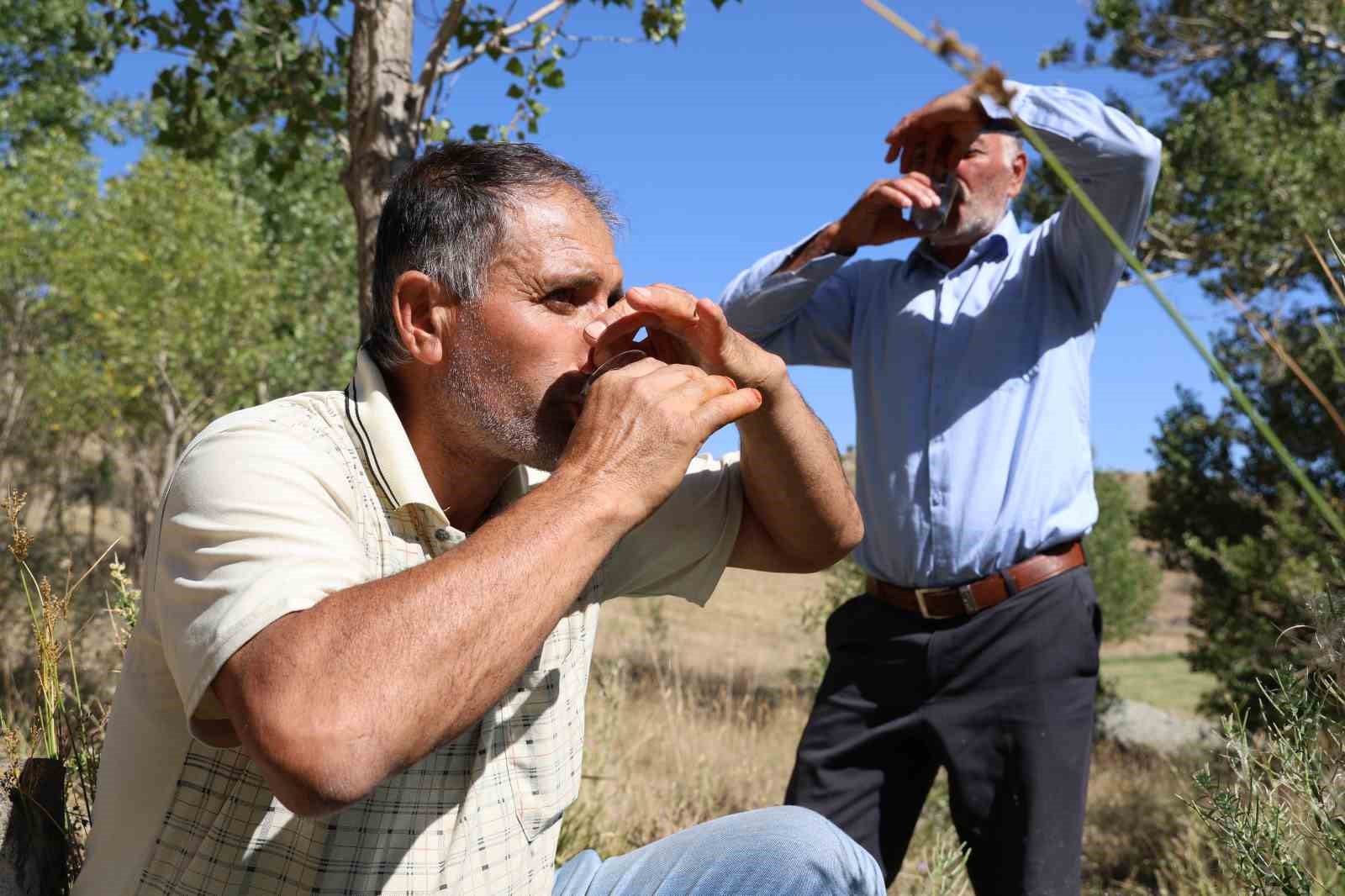 Dayanılmaz kokusuna rağmen şifa bulmak için kana kana içiyorlar